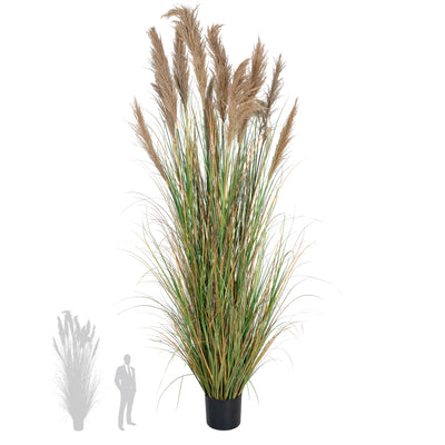 Iarba artificiala Onion 280 cm cu 13 flori naturale de pampas bej