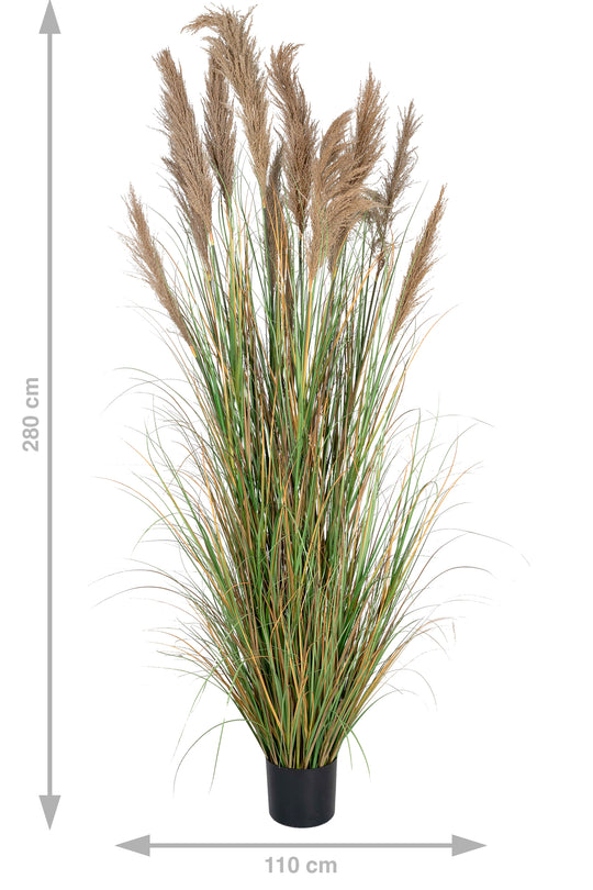 Iarba artificiala Onion 280 cm cu 13 flori naturale de pampas bej