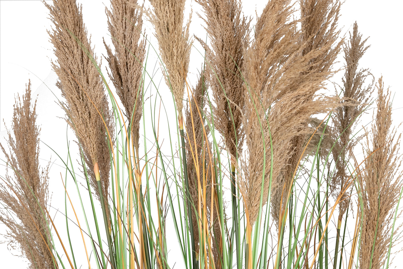 Iarba artificiala Onion 280 cm cu 13 flori naturale de pampas bej