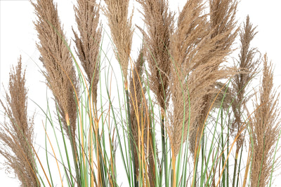 Iarba artificiala Onion 280 cm cu 13 flori naturale de pampas bej