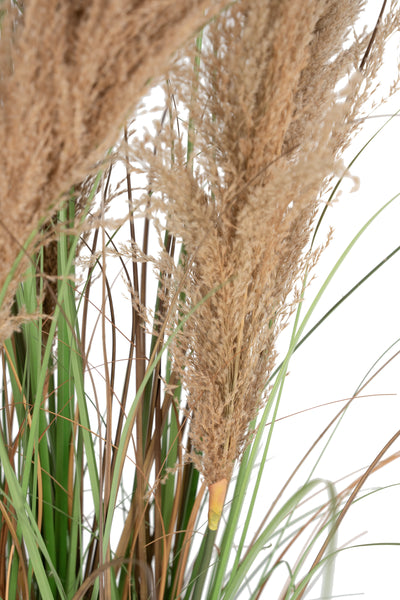 Iarba artificiala Onion 280 cm cu 13 flori naturale de pampas bej