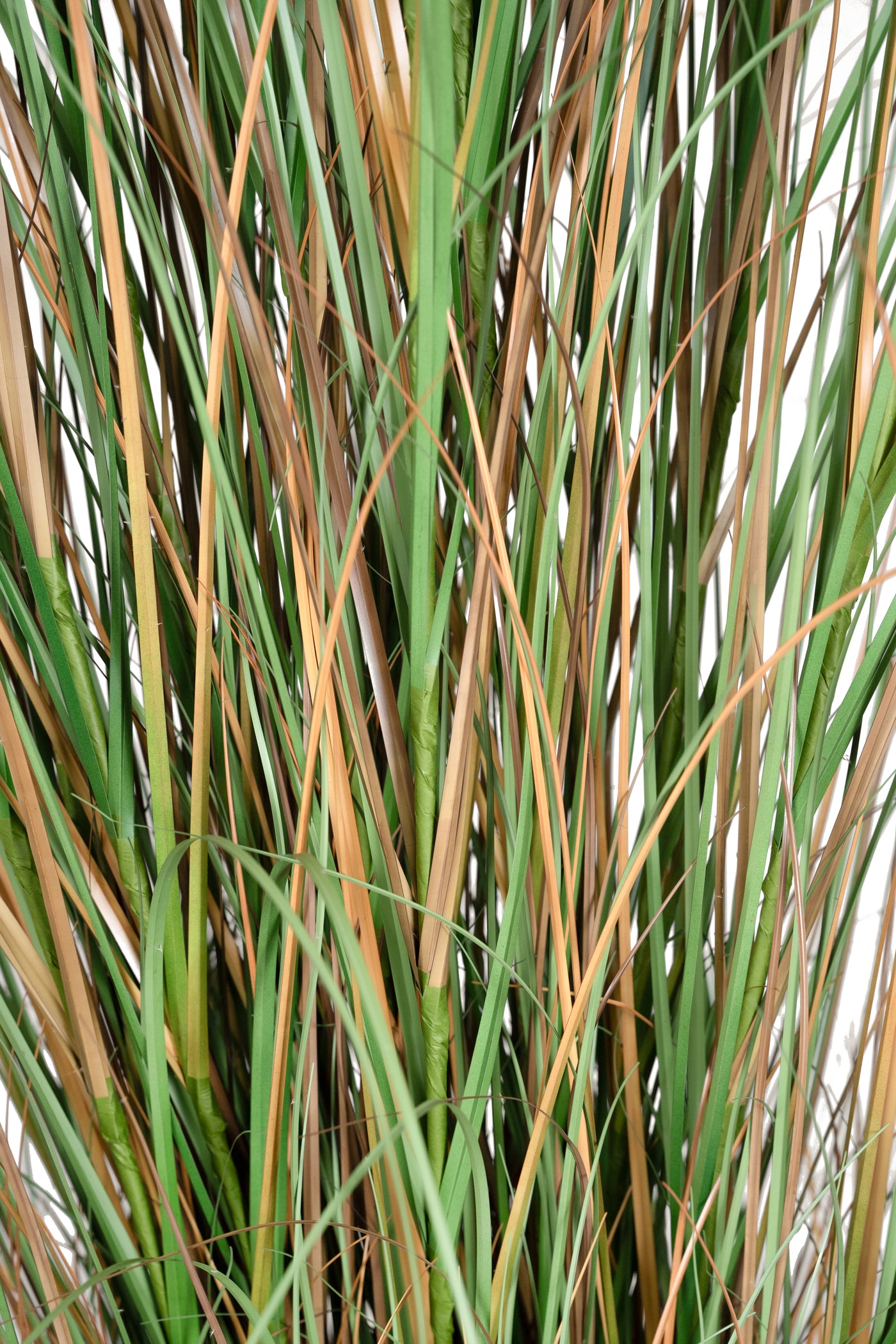 Iarba artificiala Onion 280 cm cu 13 flori naturale de pampas bej