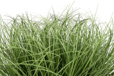 Iarba artificiala Onion 38 cm verde