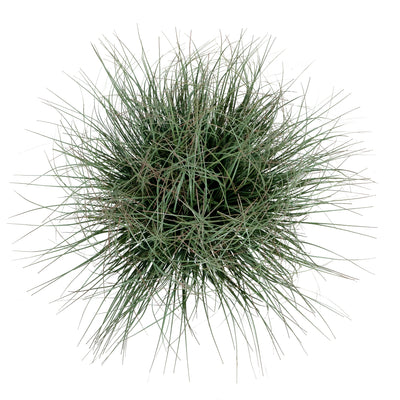 Iarba artificiala Onion 38 cm verde