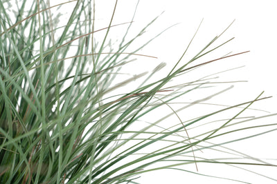 Iarba artificiala Onion 38 cm verde