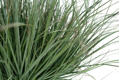 Iarba artificiala Onion 38 cm verde