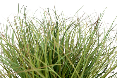Iarba artificiala Onion 38 cm verde cu bej