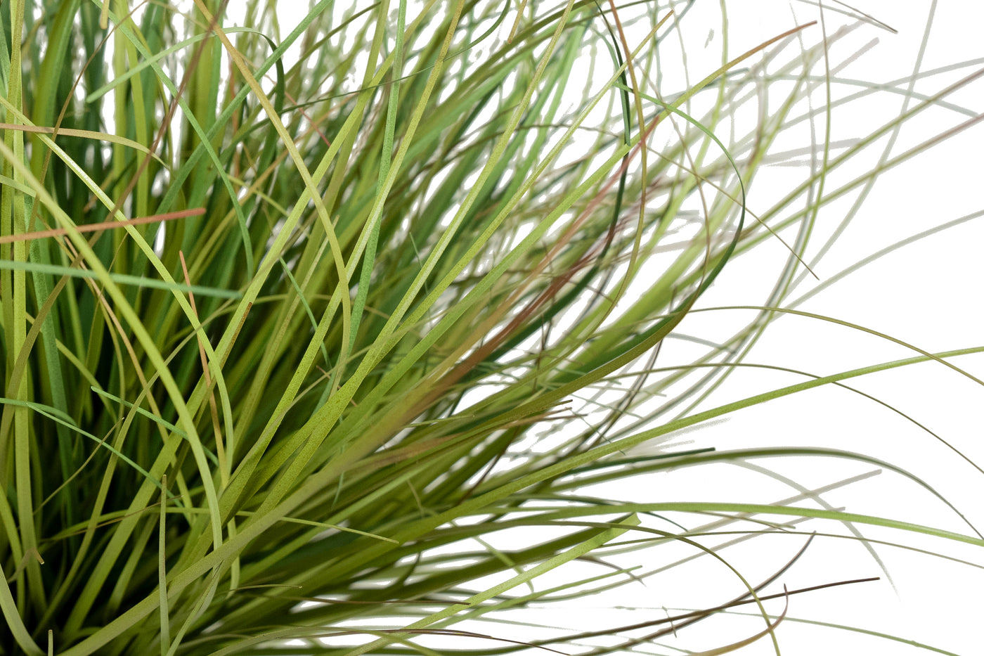 Iarba artificiala Onion 38 cm verde cu bej