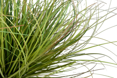 Iarba artificiala Onion 38 cm verde cu bej