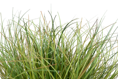 Iarba artificiala Onion 38 cm verde cu bej