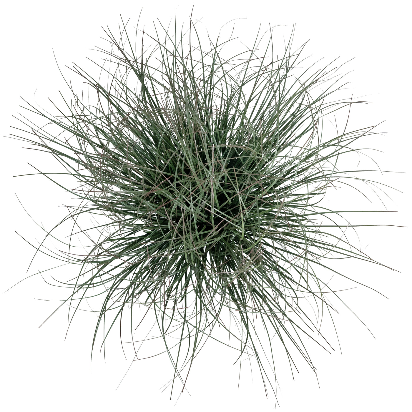 Iarba artificiala Onion 38 cm verde inchis