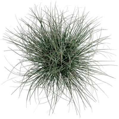 Iarba artificiala Onion 38 cm verde inchis