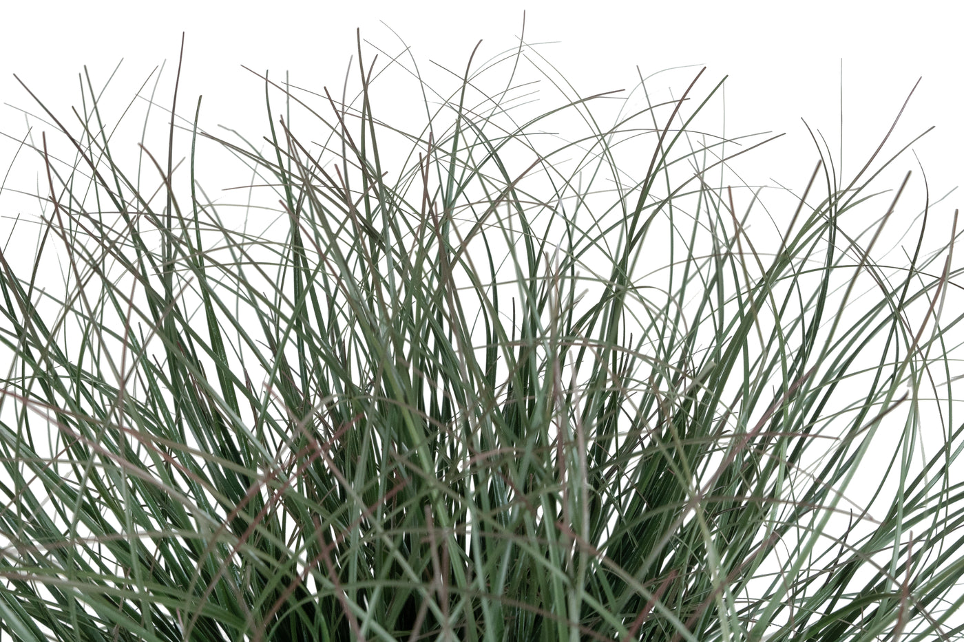 Iarba artificiala Onion 38 cm verde inchis