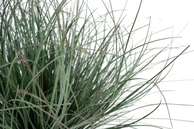 Iarba artificiala Onion 38 cm verde inchis