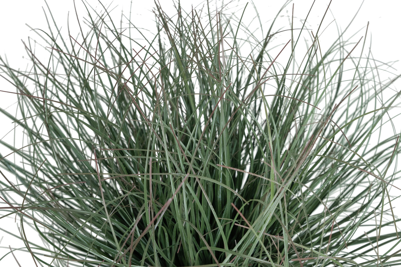 Iarba artificiala Onion 38 cm verde inchis