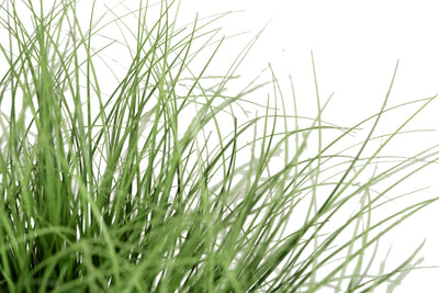 Iarba artificiala Onion 38 cm verde