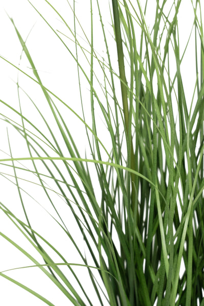 Iarba artificiala Onion 45 cm cu 3 flori de morcov galbene