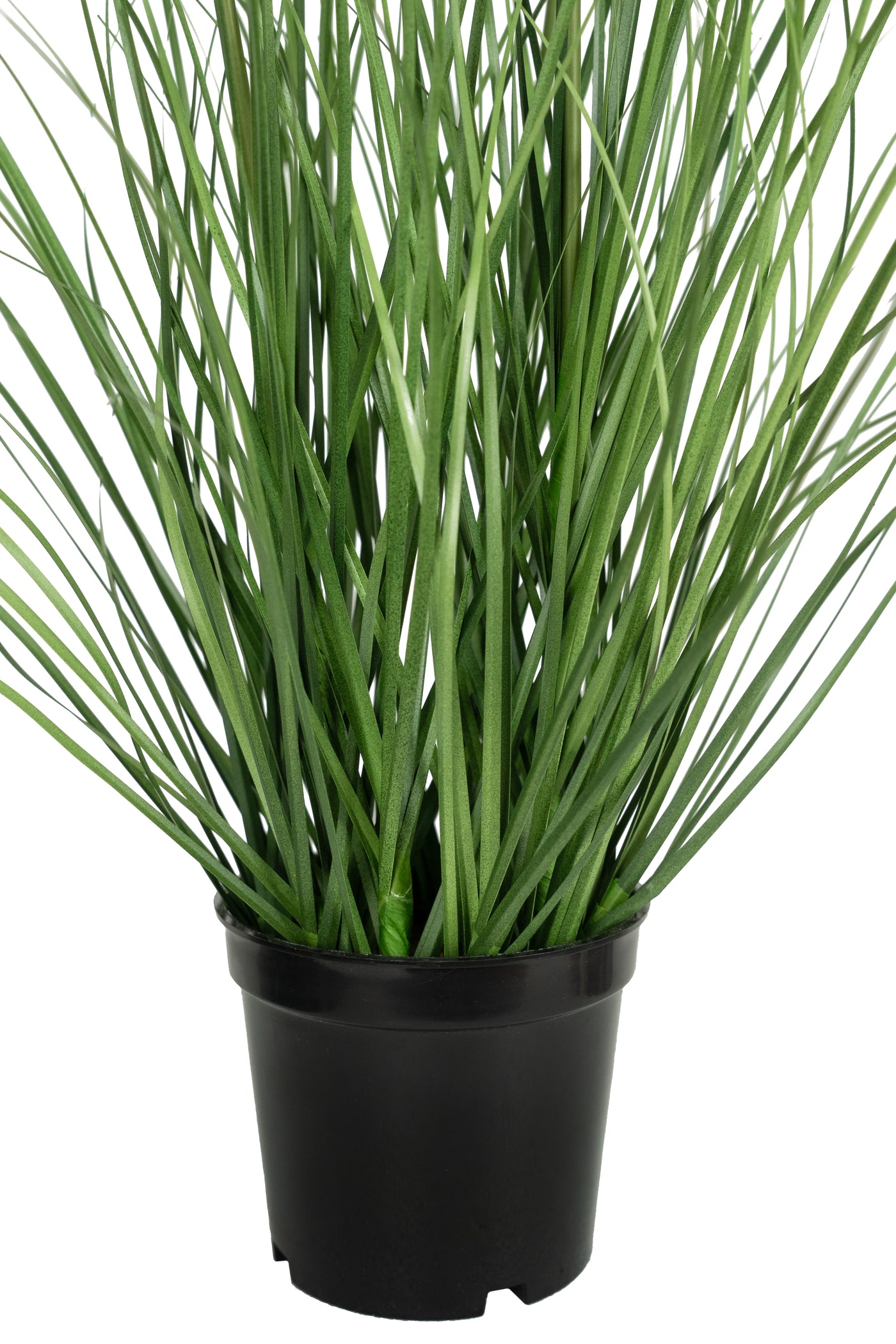 Iarba artificiala Onion 45 cm cu 3 flori de morcov galbene
