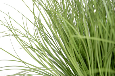 Iarba artificiala Onion 46 cm verde