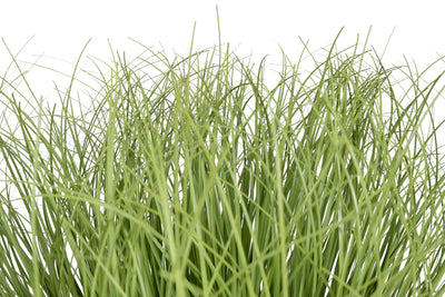 Iarba artificiala Onion 46 cm verde