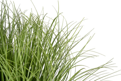 Iarba artificiala Onion 46 cm verde