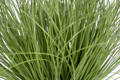 Iarba artificiala Onion 46 cm verde