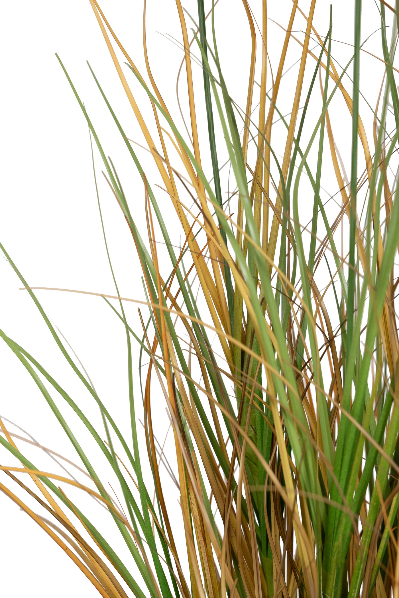 Iarba artificiala Onion 50 cm cu 3 flori de crizantema albe