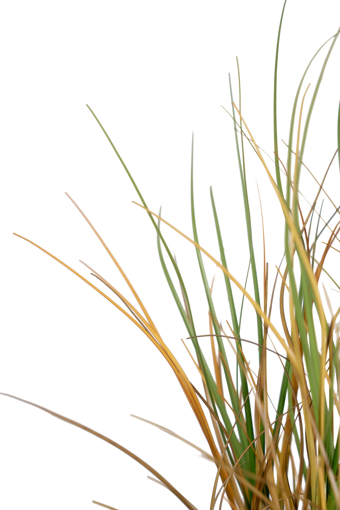 Iarba artificiala Onion 50 cm cu 3 flori de crizantema albe