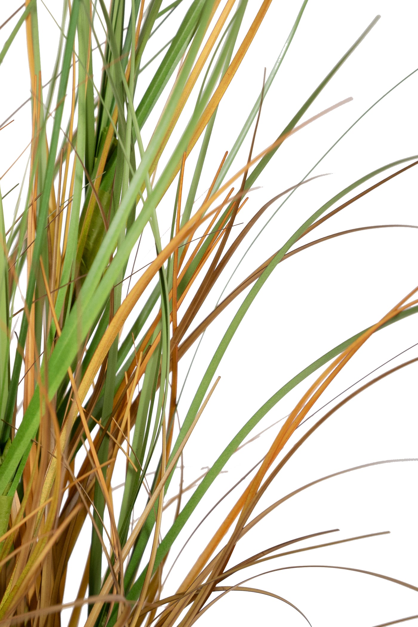 Iarba artificiala Onion 50 cm cu 3 flori de crizantema galbene