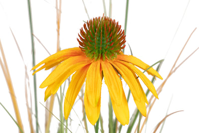 Iarba artificiala Onion 50 cm cu 3 flori de crizantema galbene