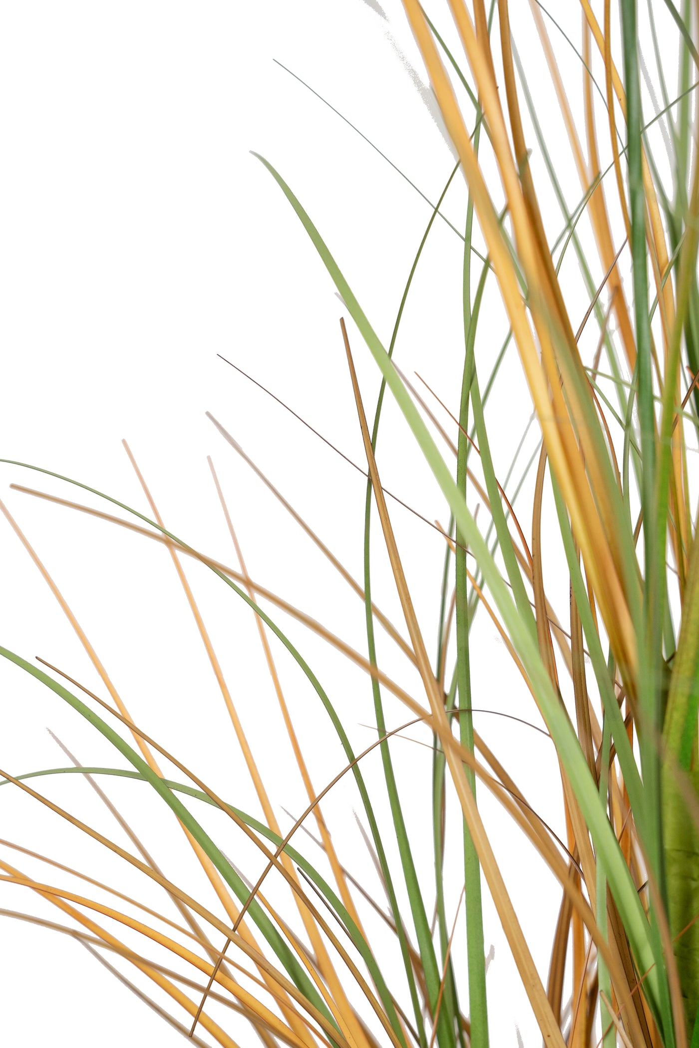 Iarba artificiala Onion 50 cm cu 3 flori de crizantema galbene