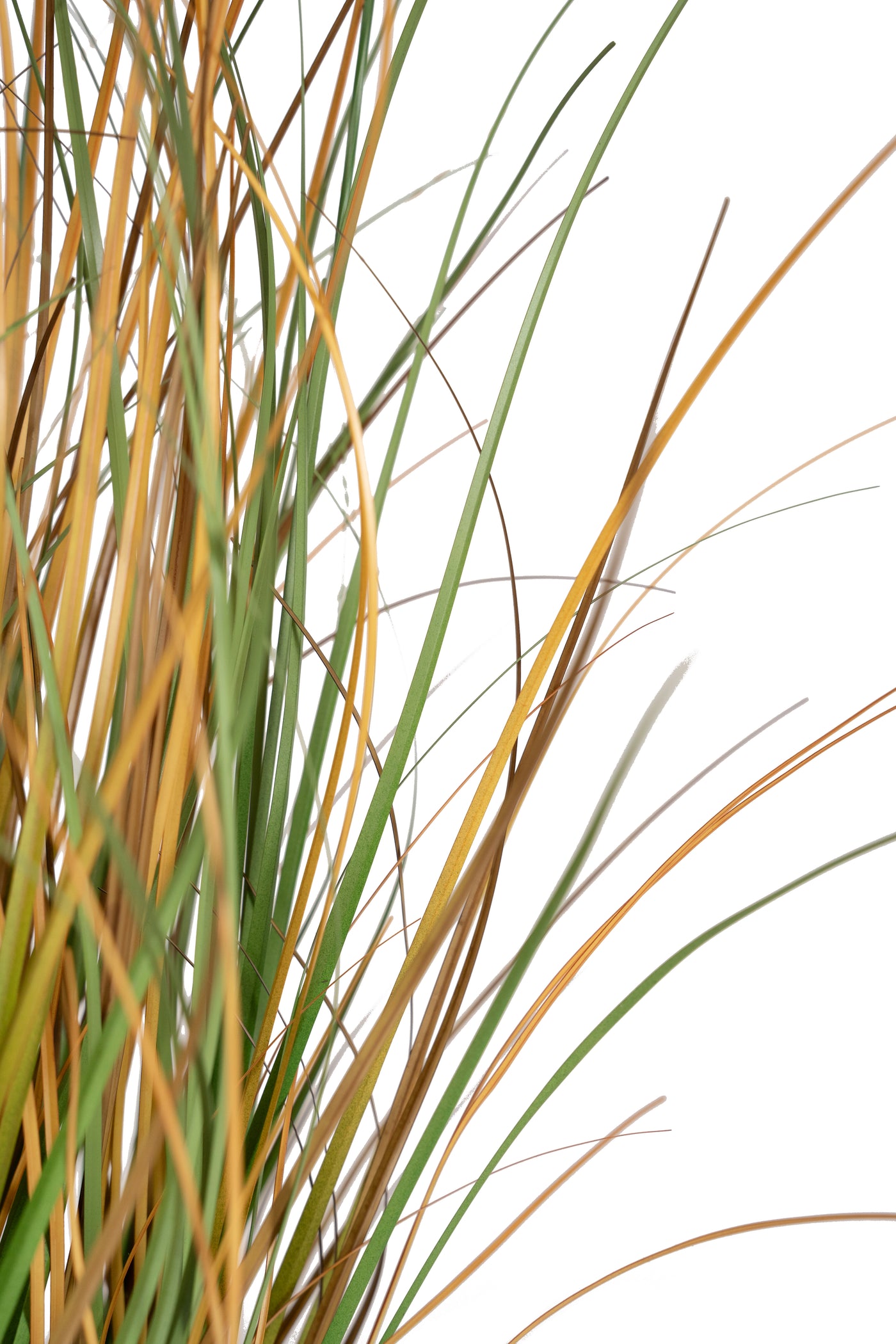 Iarba artificiala Onion 60 cm cu 5 flori albe de crizantema