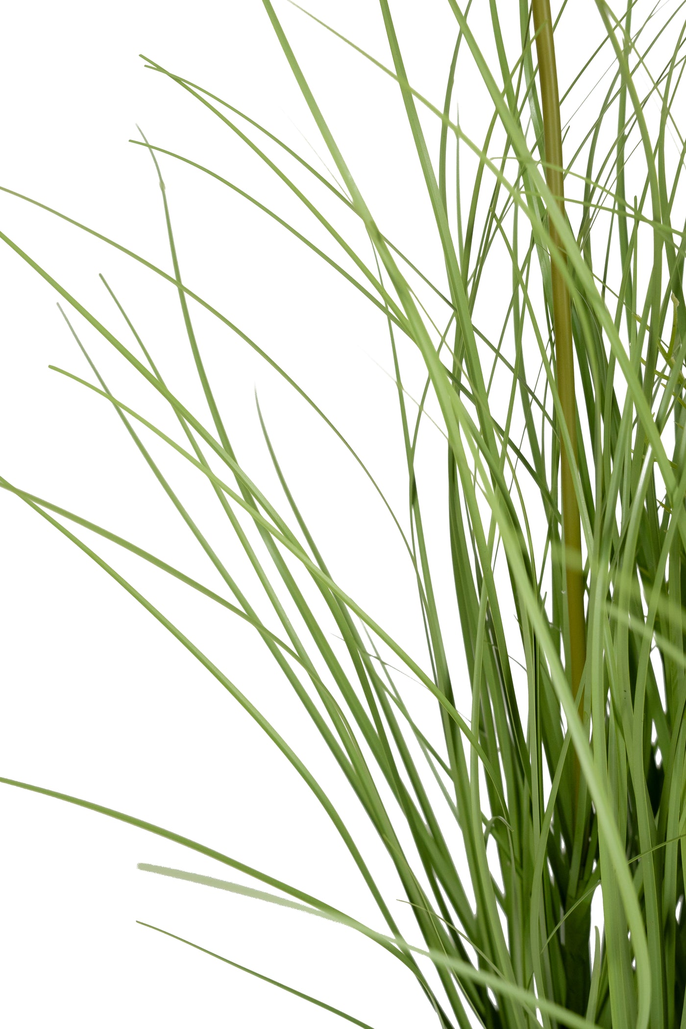 Iarba artificiala Onion 60 cm cu 5 flori de morcov albe