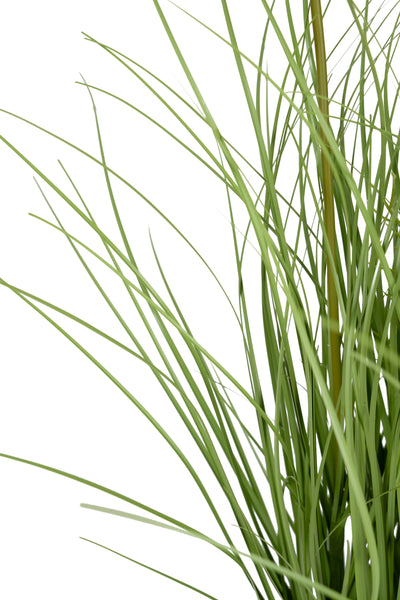 Iarba artificiala Onion 60 cm cu 5 flori de morcov albe