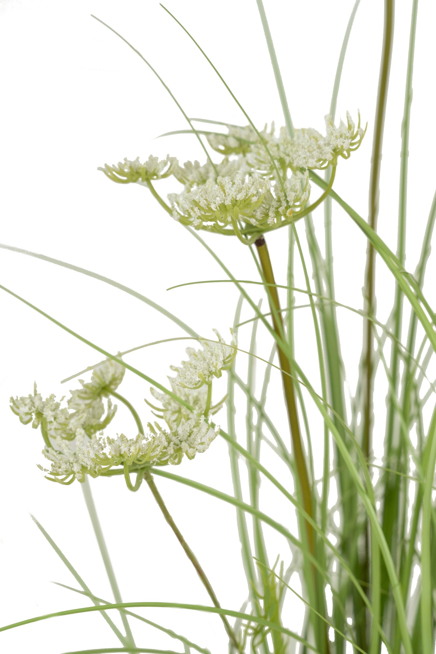 Iarba artificiala Onion 60 cm cu 5 flori de morcov albe