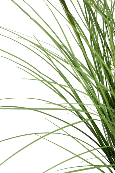 Iarba artificiala Onion 60 cm cu 5 flori de morcov galbene