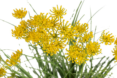 Iarba artificiala Onion 60 cm cu 5 flori de morcov galbene