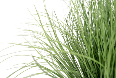 Iarba artificiala Onion 63 cm verde