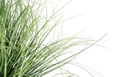 Iarba artificiala Onion 63 cm verde