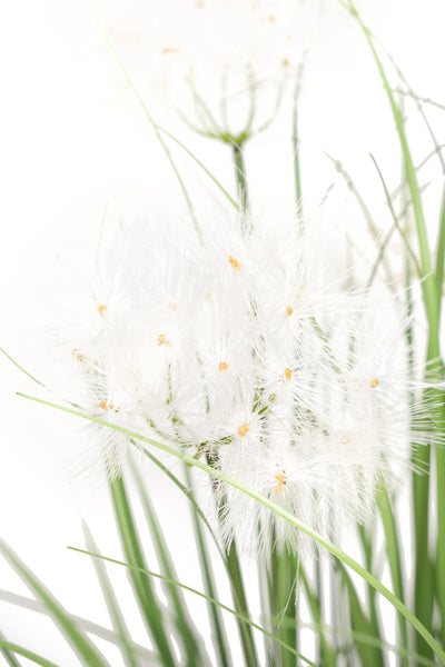 Iarba artificiala Onion 90 cm cu 5 flori de papadie albe