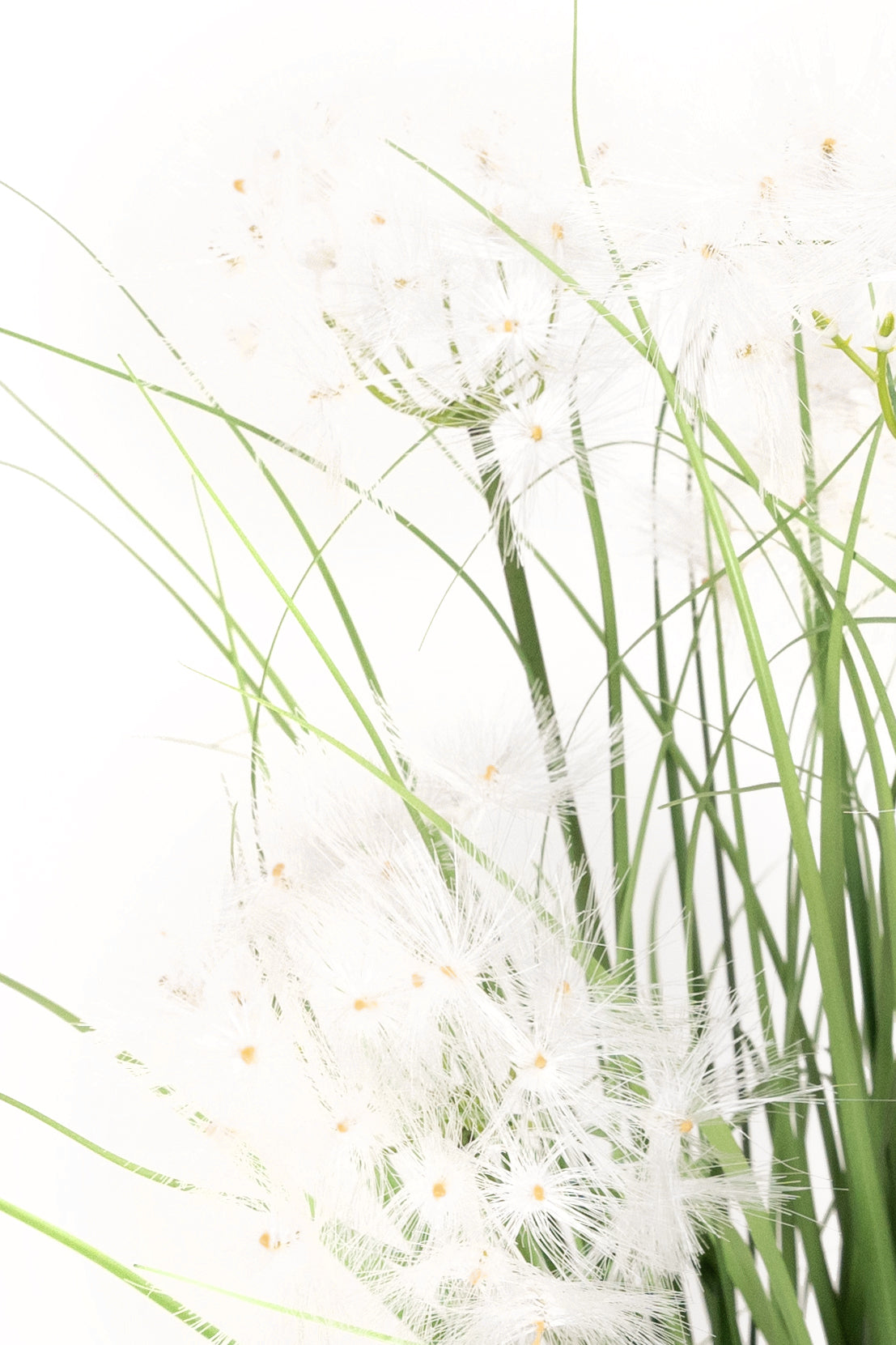 Iarba artificiala Onion 90 cm cu 5 flori de papadie albe