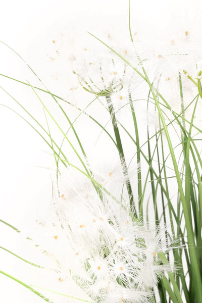 Iarba artificiala Onion 90 cm cu 5 flori de papadie albe