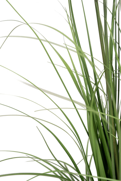 Iarba artificiala Onion 90 cm cu 5 flori de papadie albe