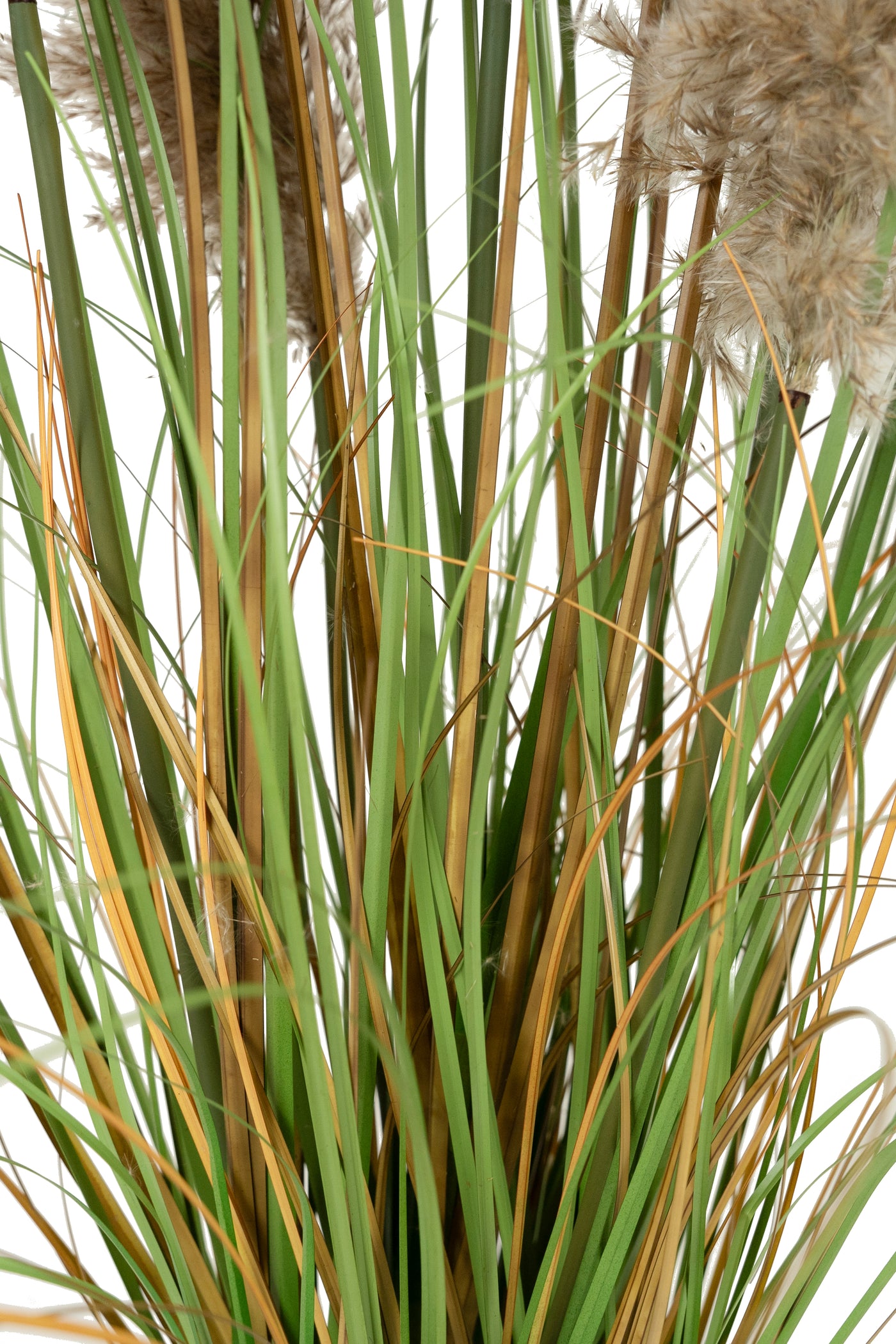 Iarba artificiala Onion 90 cm cu 5 flori naturale de pampas bej deschis