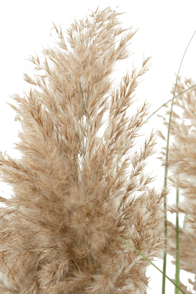 Iarba artificiala Onion 90 cm cu 5 flori naturale de pampas bej deschis