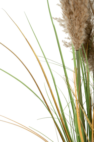 Iarba artificiala Onion 90 cm cu 5 flori naturale de pampas bej deschis
