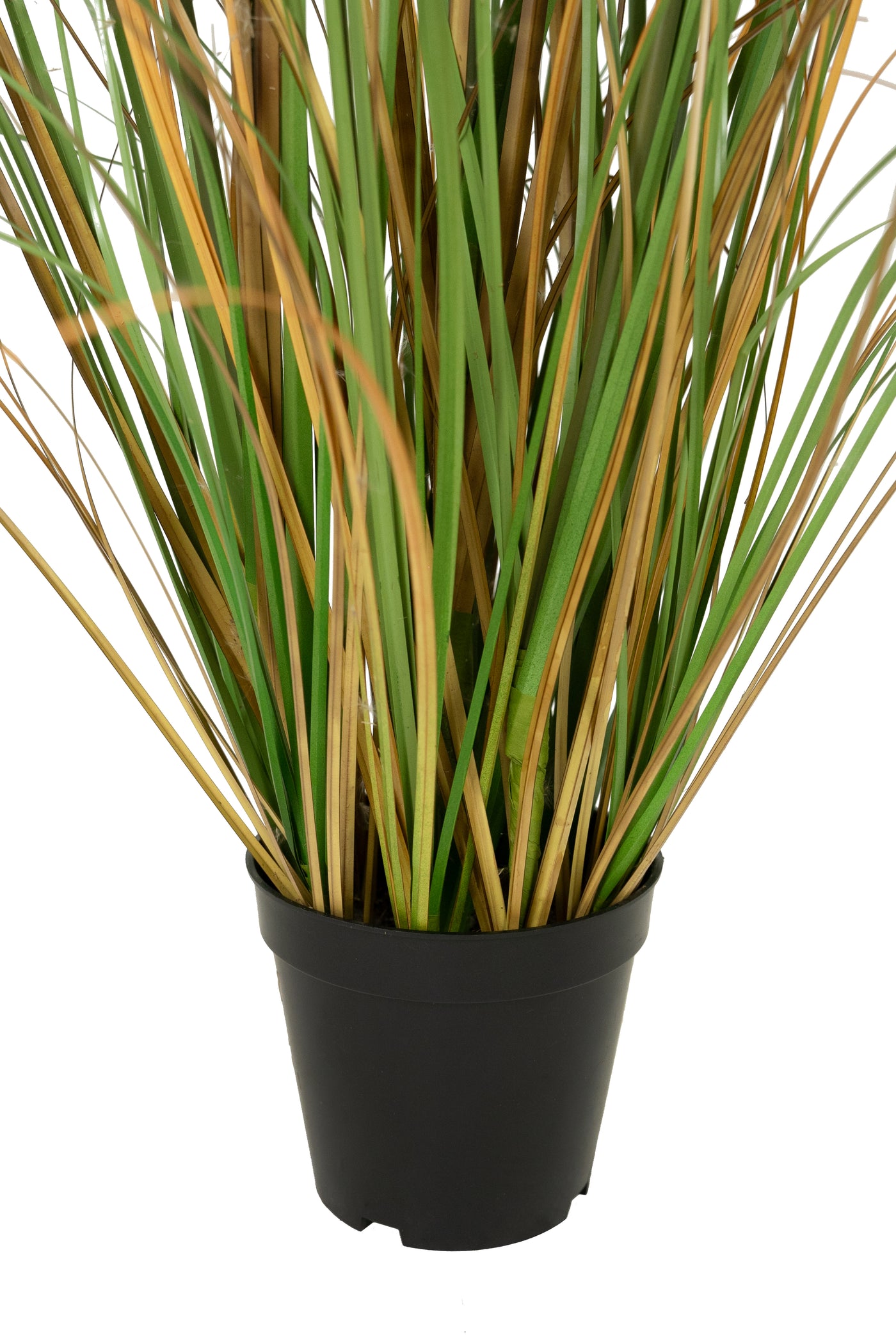 Iarba artificiala Onion 90 cm cu 5 flori naturale de pampas bej deschis