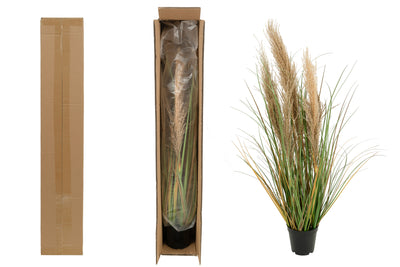 Iarba artificiala Onion 90 cm cu 5 flori naturale de pampas bej