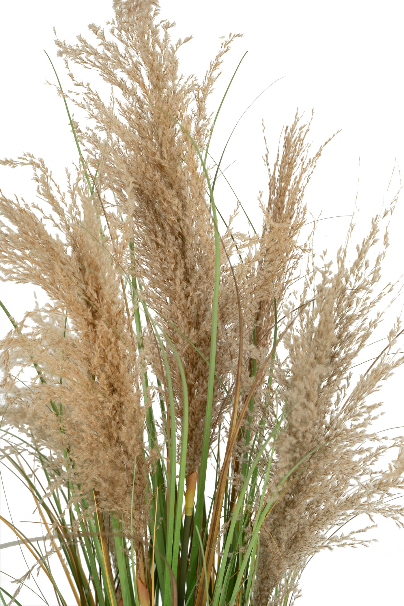 Iarba artificiala Onion 90 cm cu 5 flori naturale de pampas bej