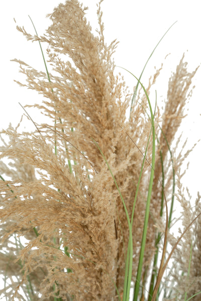 Iarba artificiala Onion 90 cm cu 5 flori naturale de pampas bej
